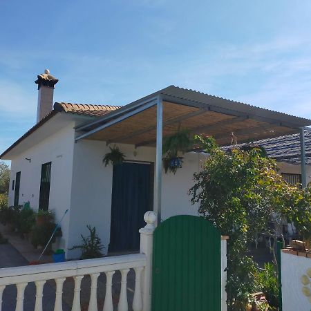 Alojamiento Rural La Perdiz ラ・プエブラ・デ・ロス・インファンテス エクステリア 写真
